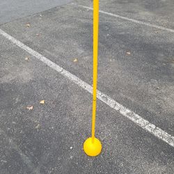 Agility Poles (6) with base