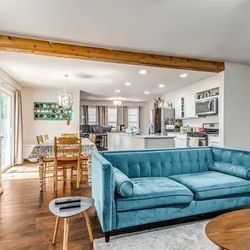 Velvet Couches 