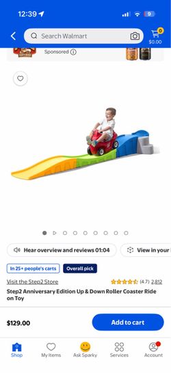 Up & down roller coaster ride on toy