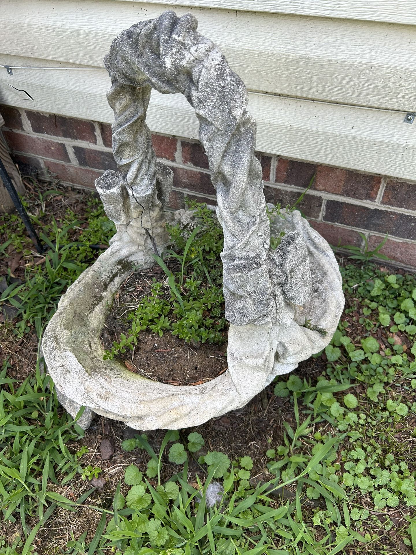 Cement plant holder