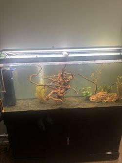 Salt Water/ Fresh Water Tank For Sale