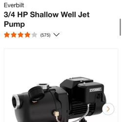 Ever bolt 3/4 Well Jet Pump