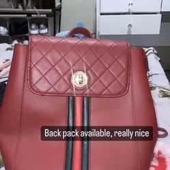 Back Pack Purse