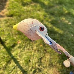 Custom Painted LureS