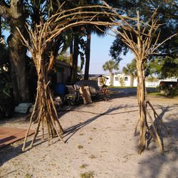 Wedding Arch Driftwood, Driftwood Wedding Arch 