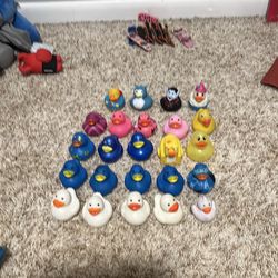 20 count ducks