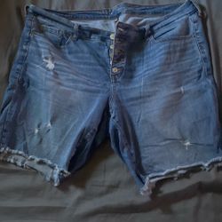 Torrid Size 18 Woman