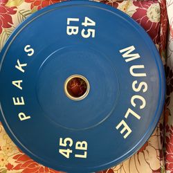 A pair of 45 pounders bumper weights