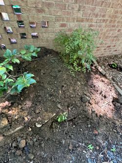 Free dirt must come get and dig up yourself
