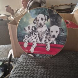 This Is A Collection Plate.  It Said On The Back Three Alarm Five 