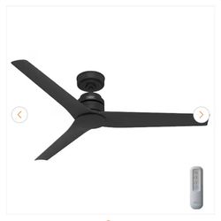 Hunter Ceiling Fan