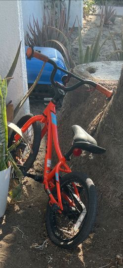 Kids trek bike