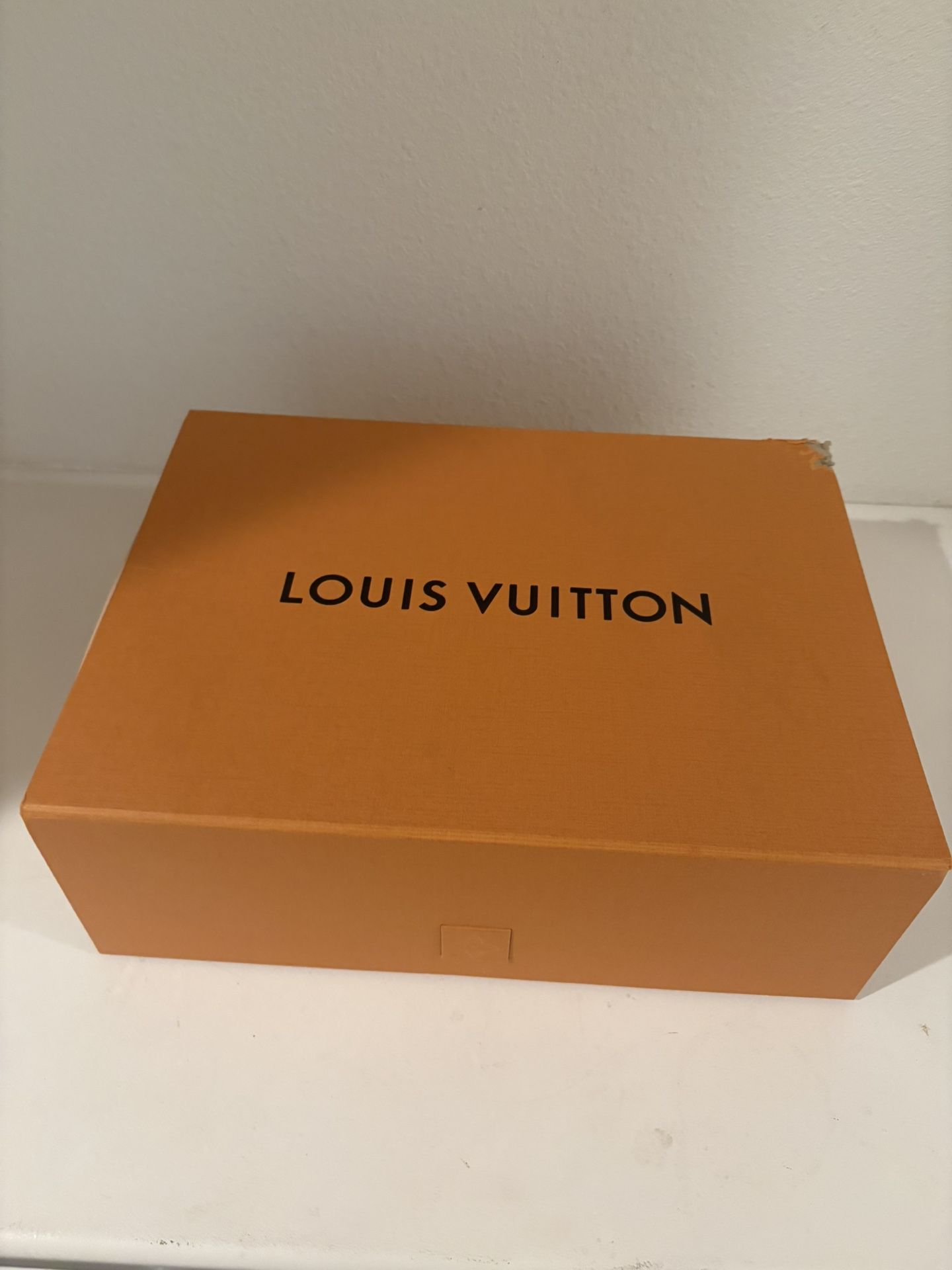 Louis Vuitton Bag