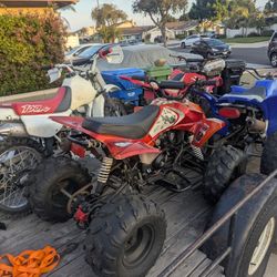 Quads And Dirt Bike 1997 Honda 