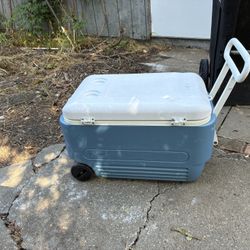 Cooler Igloo