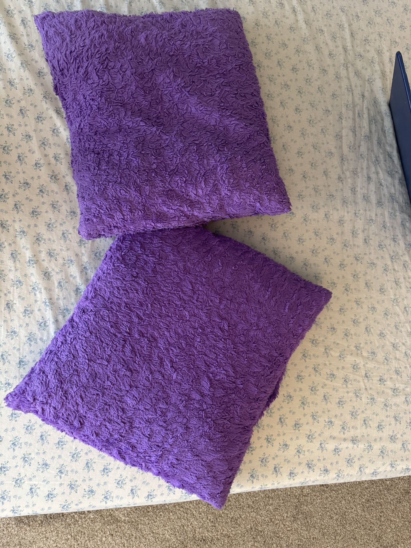 Purple fluffy cushions