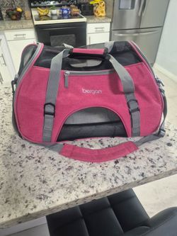 Pet carry-on