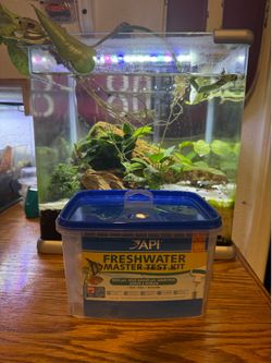 Fish Tank