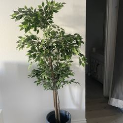 Fake Home Decor Plant