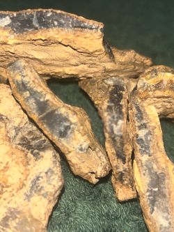 Raw Vein Agate ( Great for Making Jewelry )