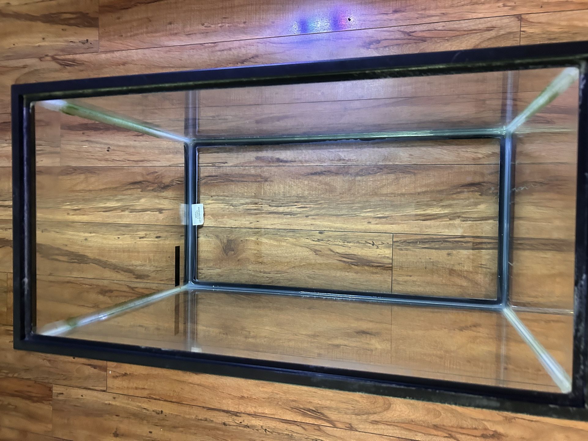20 Gal Fish Tank