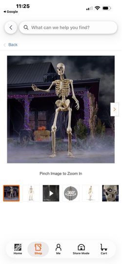Skeleton 12ft