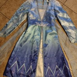 Like New Disney Frozen 2 Elsa Anna Adventure Girls Blue and Silver Costume Dress