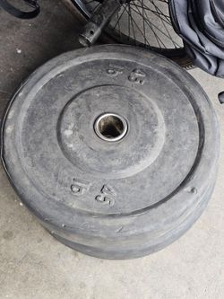 45 lb Rubber Bumper Weight Plates (Pair)