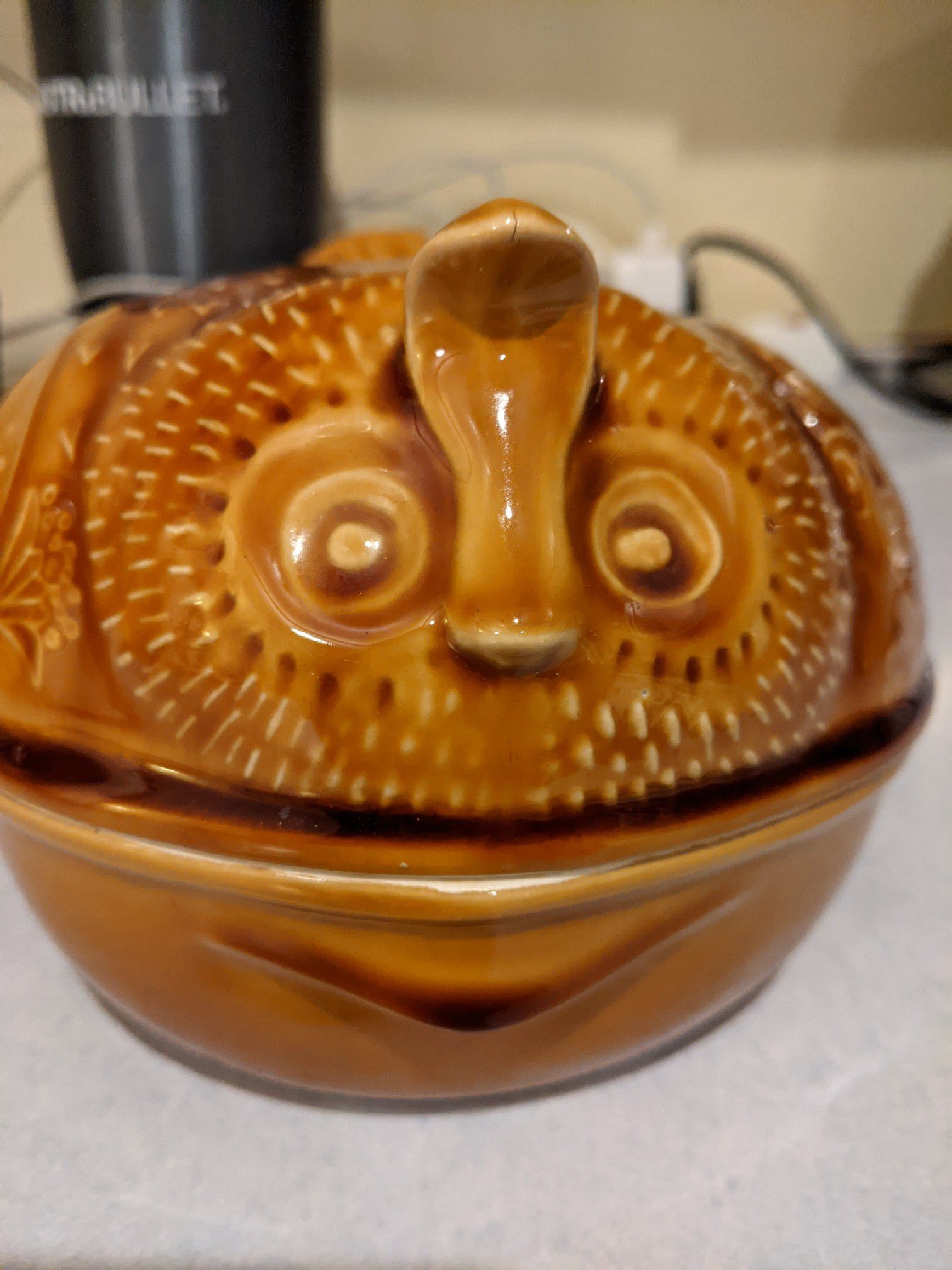 Beautiful Owl Ceramic food container and ice makers