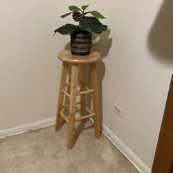 New Wooden Stool 