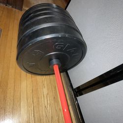 Rogue Barbell & 340lbs Bumper Plates