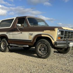 1986 Ford Bronco