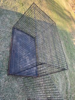 Large Dog Kennel