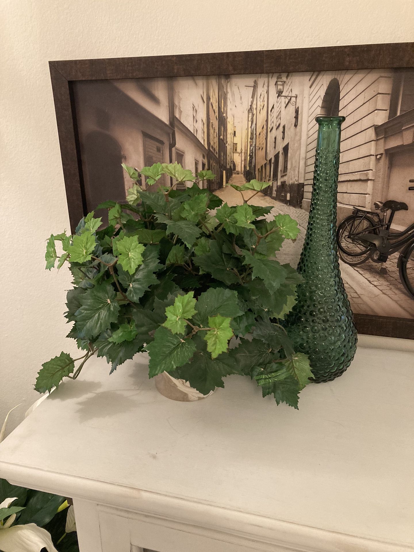 Artificial Plant Artificial 13” Kangaroo Vine/Plant in Ceramic Pot
