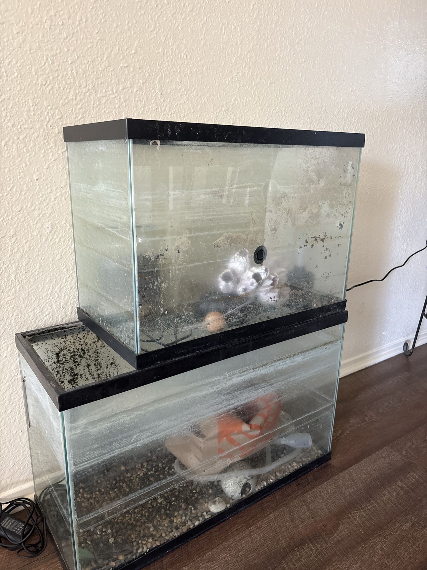 Large fish tanks! grandes peceras!