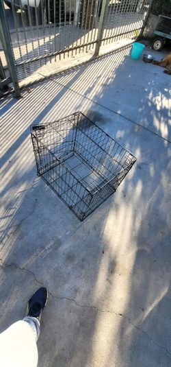 Jaulas Para Cachorros Pequeños Chow Chow // Cage For Small Dogs Chow Chow