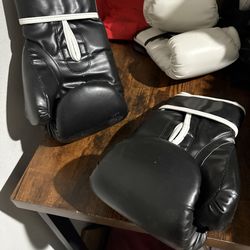 Everlast boxing gloves