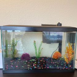 Fish Tank 