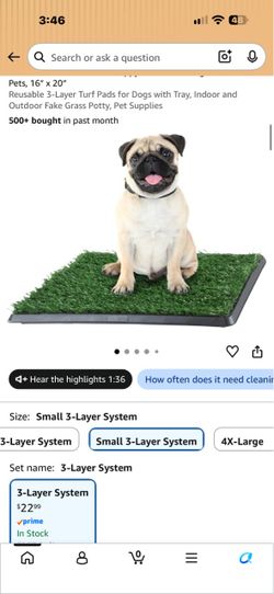 Potty trained grass