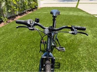 Kids Giant mountain bike