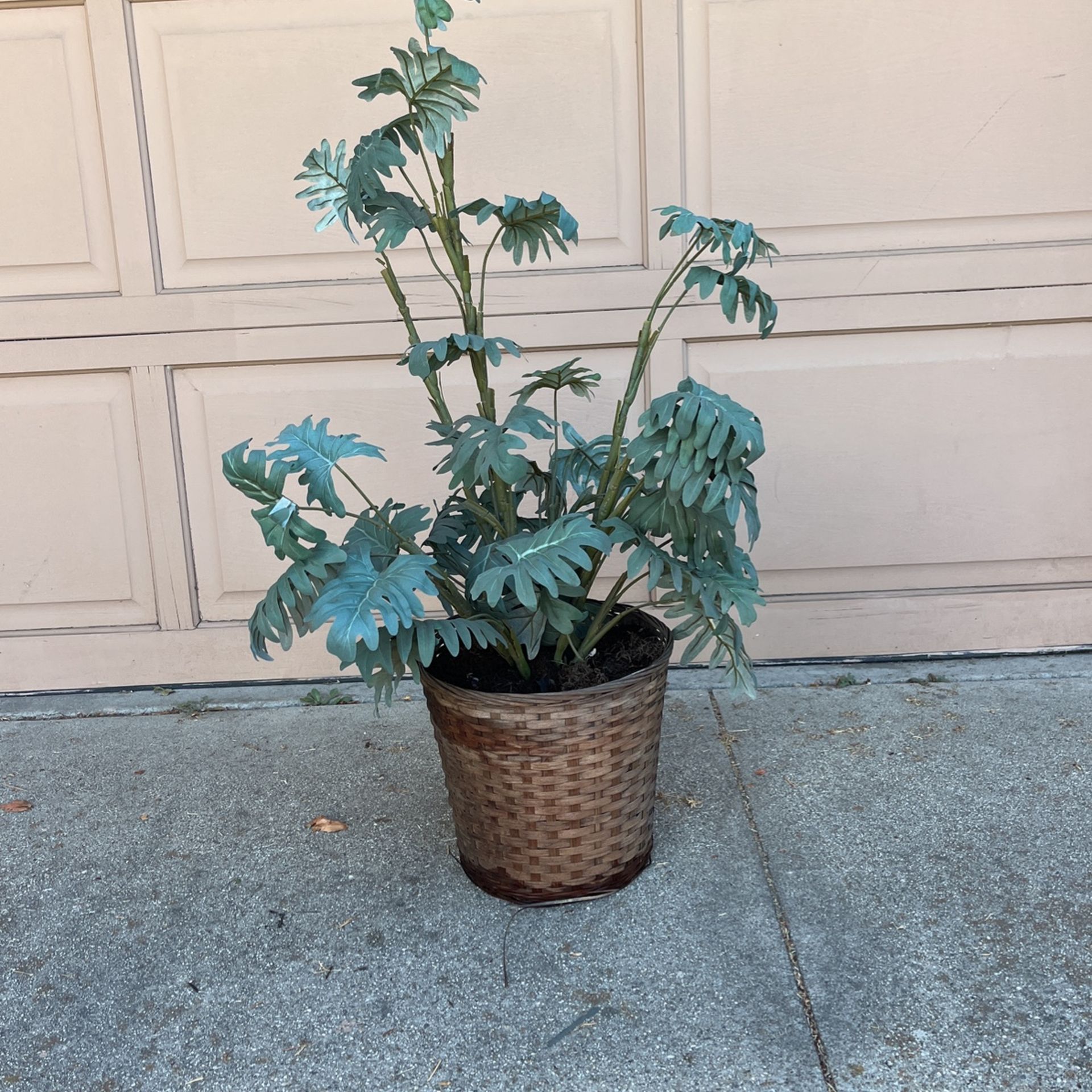 Fake Plant