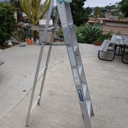 6 Ft Ladder