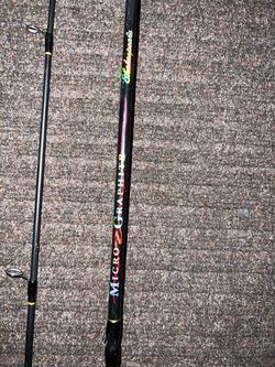 Shakespeare Fishing Rod