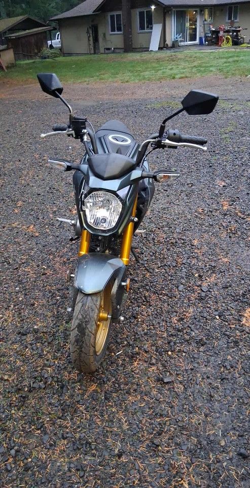 2025 Kawasaki Z125 Pro