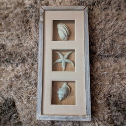 Framed Seashell Bathroom Decor 