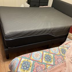 Queen Size Bed And Mattress 