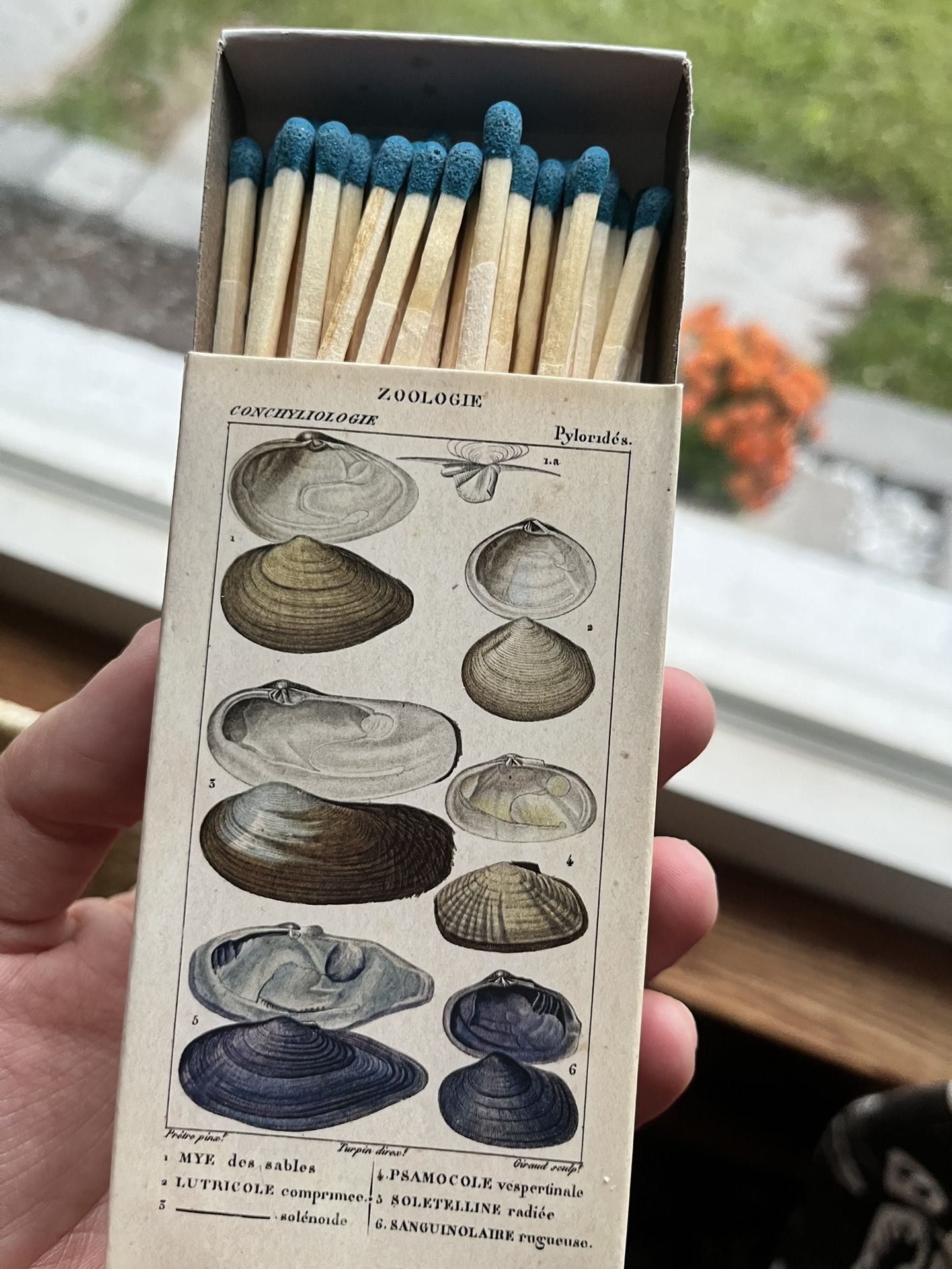 Matches