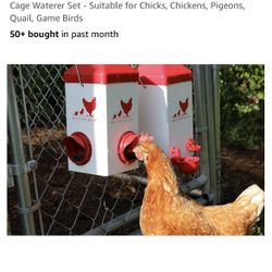 Brand New Rent A Coop Chicken Feeder And Water 
