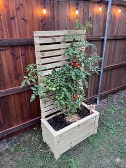 Cedar Planter Box with Tall Privacy Screen – Ready for Your Patio!