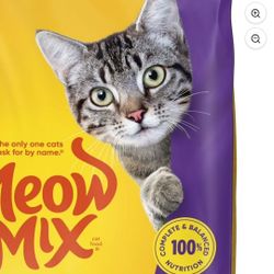 Free Cat 😺 Food
